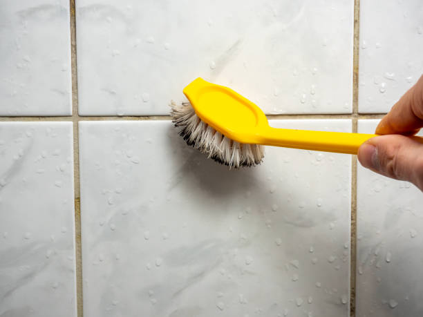 Best Home Mold Removal  in Kimberling City, MO
